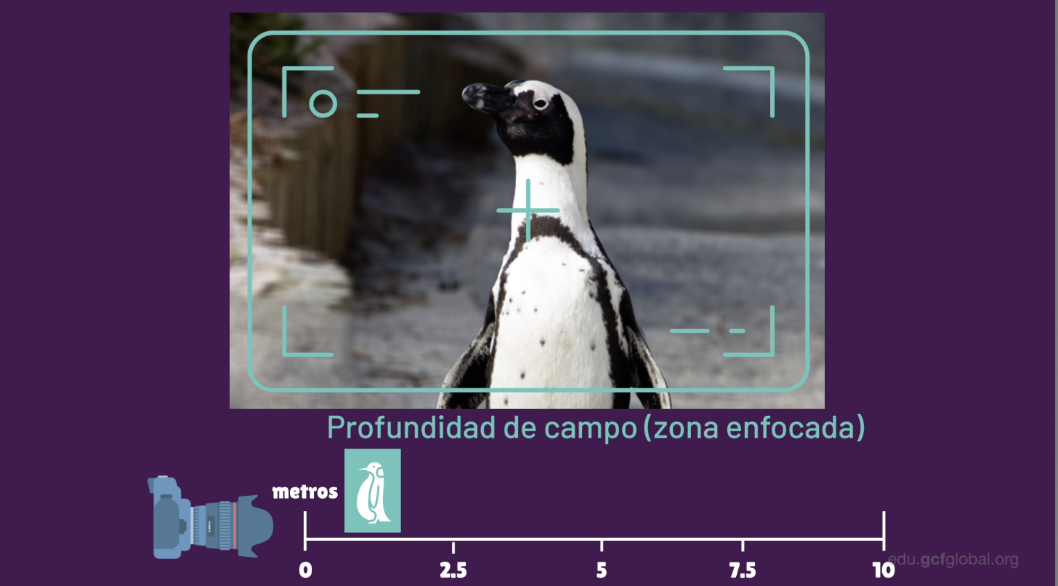 Entre menor distancia exista entre el sujeto y la cámara, habrá menor profundidad de campo.